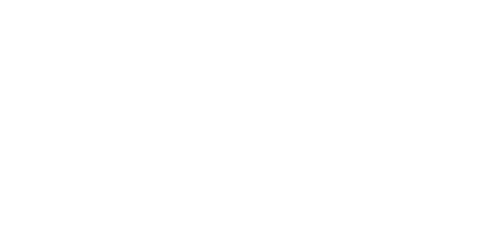 Brown Bear